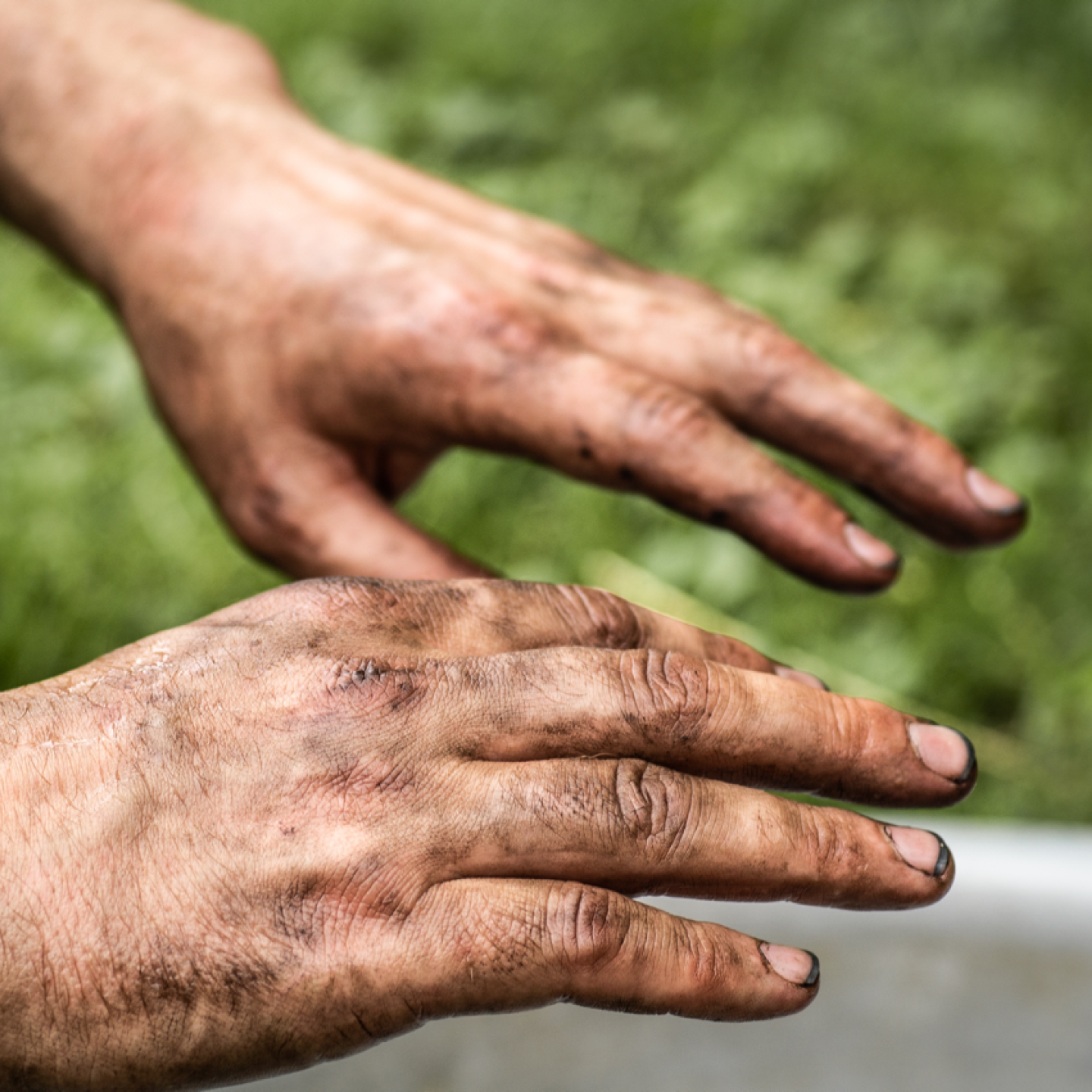 dsc01181 2022 01 29 08 09 03 utc groot